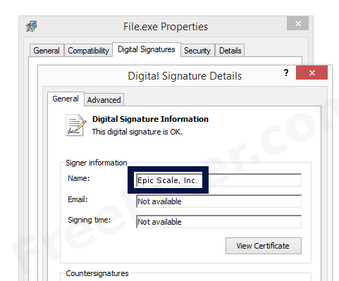 Screenshot of the Epic Scale, Inc. certificate